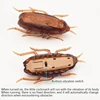 Funny Pet Cat Toys Interactive Electronic Toy Cockroach Mouse Spider For Cats Dogs Puppy Training Toys Pet Product Cats 4
