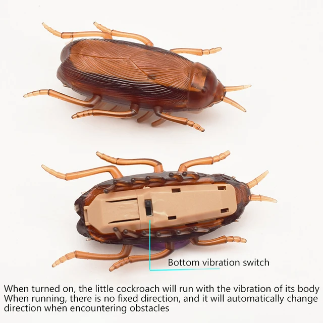 Funny Pet Cat Toys Interactive Electronic Toy Cockroach Mouse Spider For Cats Dogs Puppy Training Toys Pet Product Cats 4