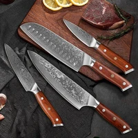 4 PCS Knives Sets Rosewood Handle 67 Layers Damascus Steel VG10 Super Sharp Meat Vegetable Meat Knives cooking Tools 2