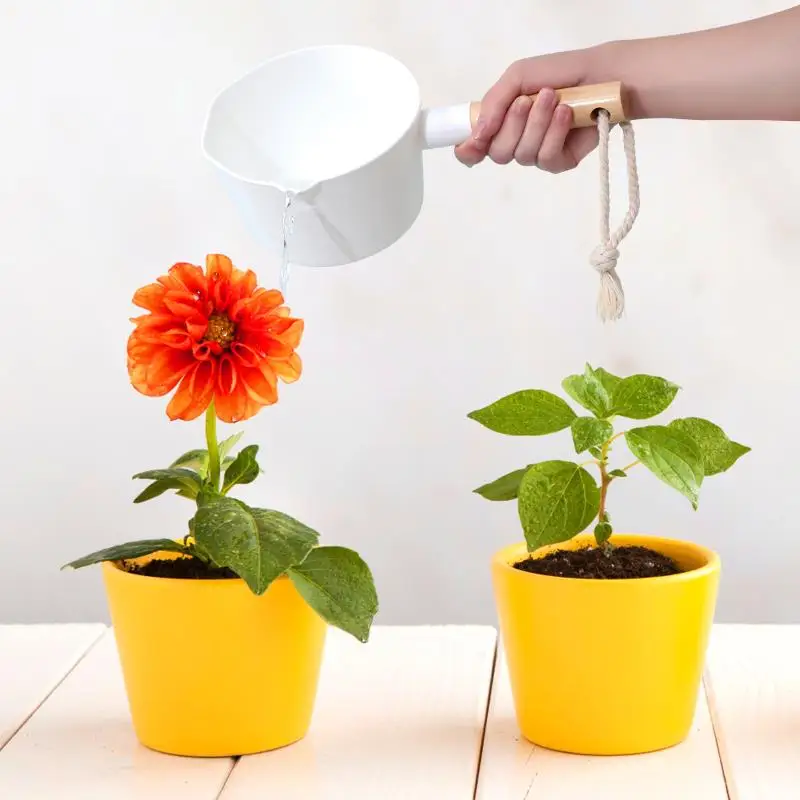Description Picture 5 of itemHemoton Water Ladle Long Wooden Handle Water Scoop Bath Ladle Dipper for Home Kitchen Bathroom