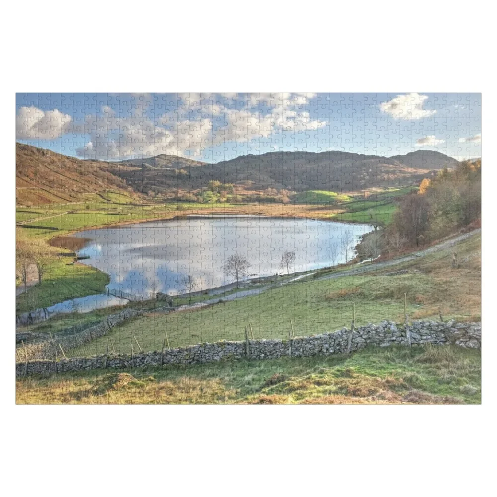 Above Watendlath Tarn (Borrowdale) Jigsaw Puzzle Scale Motors Works Of Art Puzzle