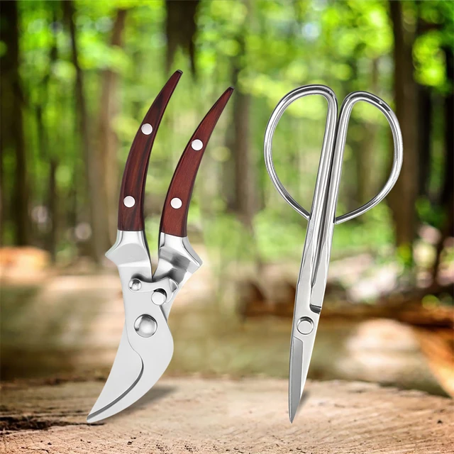 1-2PCS, Multifunctional Flower Leaf Branch Scissor Flower Branch Scissors Garden Scissors Potted Pruning Tool Garden Scissors 1-2PCS, Multifunctional Flower Leaf Branch Scissor Flower Branch Scissors Garden Scissors Potted Pruning Tool Garden Scissors