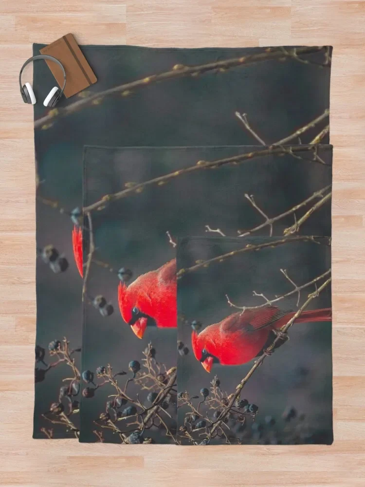 �߱�� �� ���� ������ ���, ����, �ʴ��� ������ ħ��, ���� ��ũ�� ���� ���