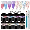 10pcs Gel Nail Polish Set 3D Semi Permanent Thermal Shell Magnet Nail Set With Magnet Stick Soak Off Uv Gel Flower Hybrid Vernis 3