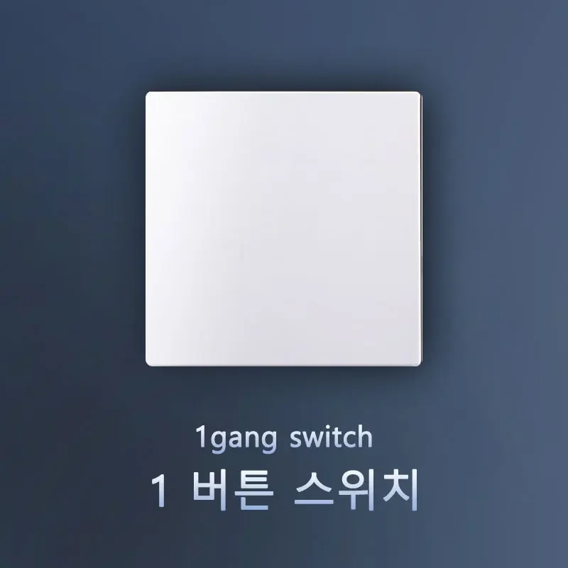 1gang
