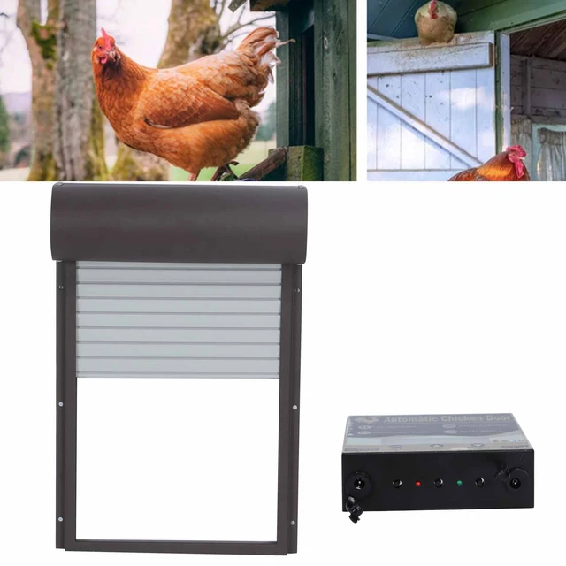 Puerta automática para gallineros: protege a tus gallinas