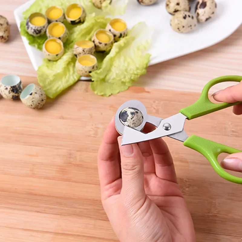 

Creative Stainless Steel Cut Whisk Egg Apparatus Pigeon Quail Egg Scissor Bird Opener Kitchen Tool Clipper Gen Eggshell Cutter