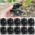 10Pcs Plant Rooting Equipment High Pressure Propagation Grafting Box Nursery Box Breeding Case For Garden Graft Box Sapling 5cm 