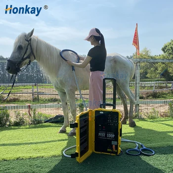 Portable Equine PEMF Device 1