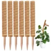Cross-border Gardening Cocoanut Stick Green Pot Fixed Plant Climbing Cane Flower Support Cocoanut Climbing Cane Moss Rod 1pc