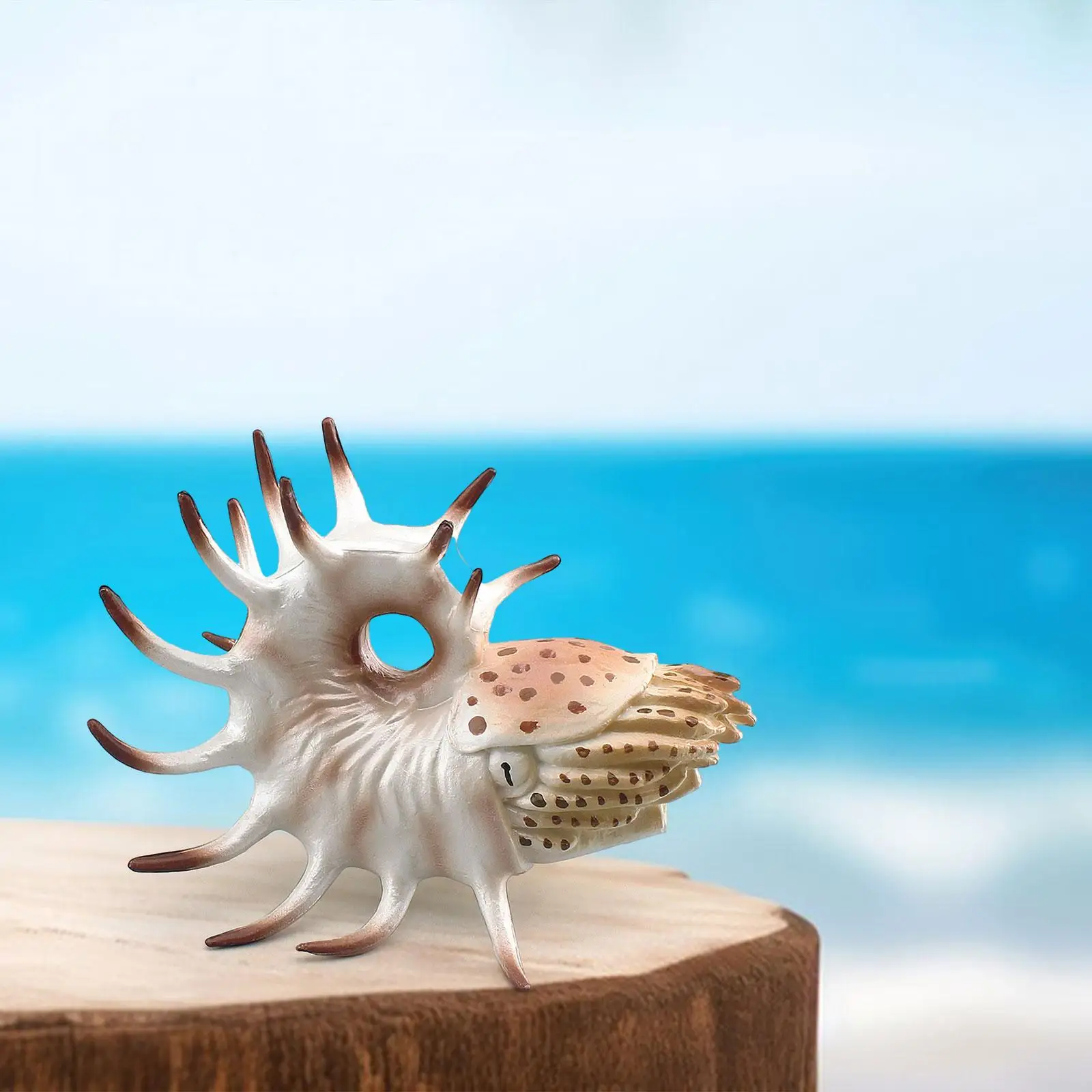 Sea Animal Figurine Model Collection Nautilus Model for Teens Kids Boy