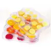 Fruit Dryer 5-layer Temperature Adjustable Tray Food Dehydrator Air Dryer Suitable for Fruits Vegetables Mushrooms Dried Meat 2