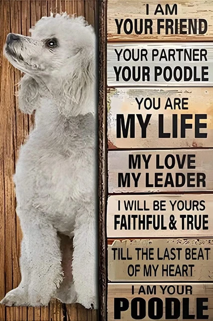 Metal Sign Poodle Dog I Am Your Friend Vintage Kitchen Signs Wall