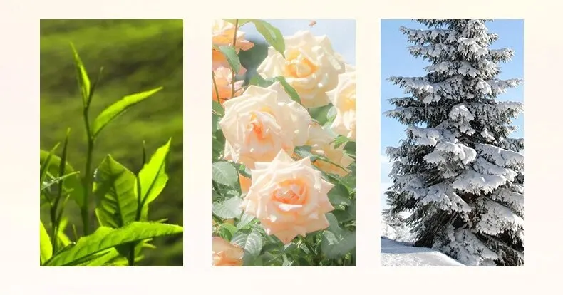 Espray de Perfume para Ropa: Fragancia Brillante y Duradera