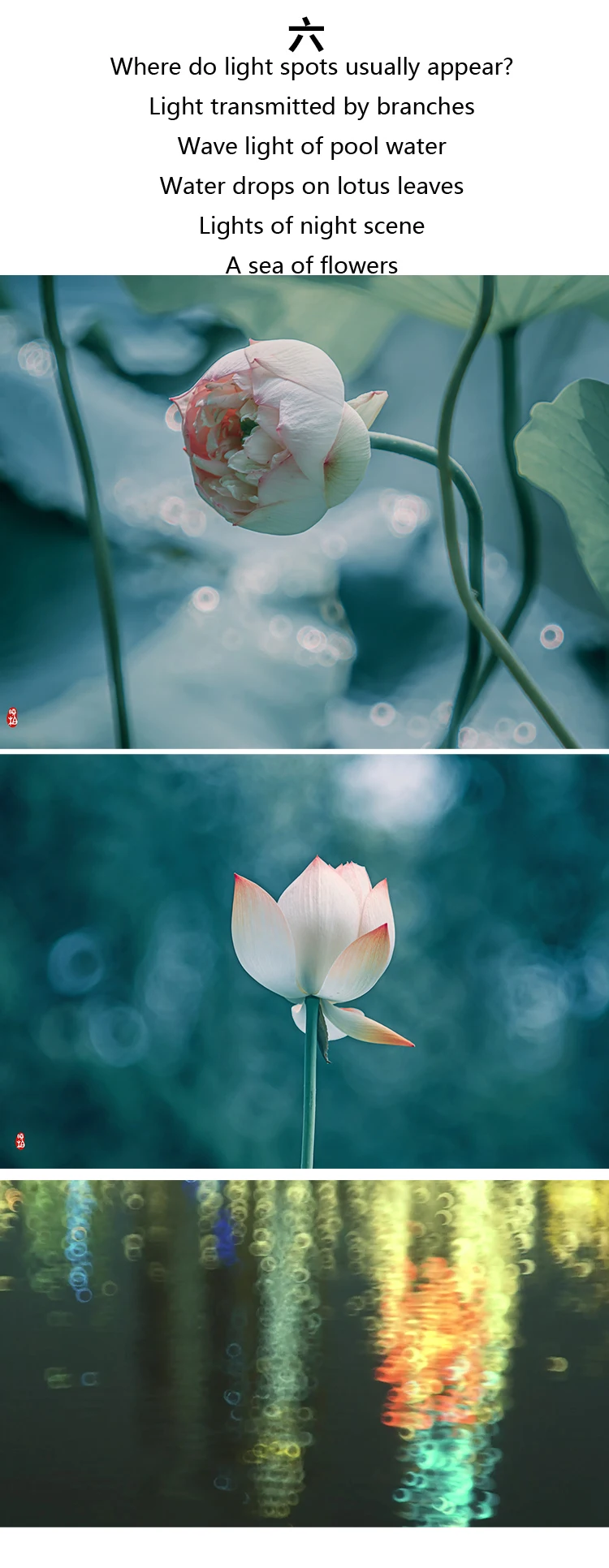 filtros para câmeras