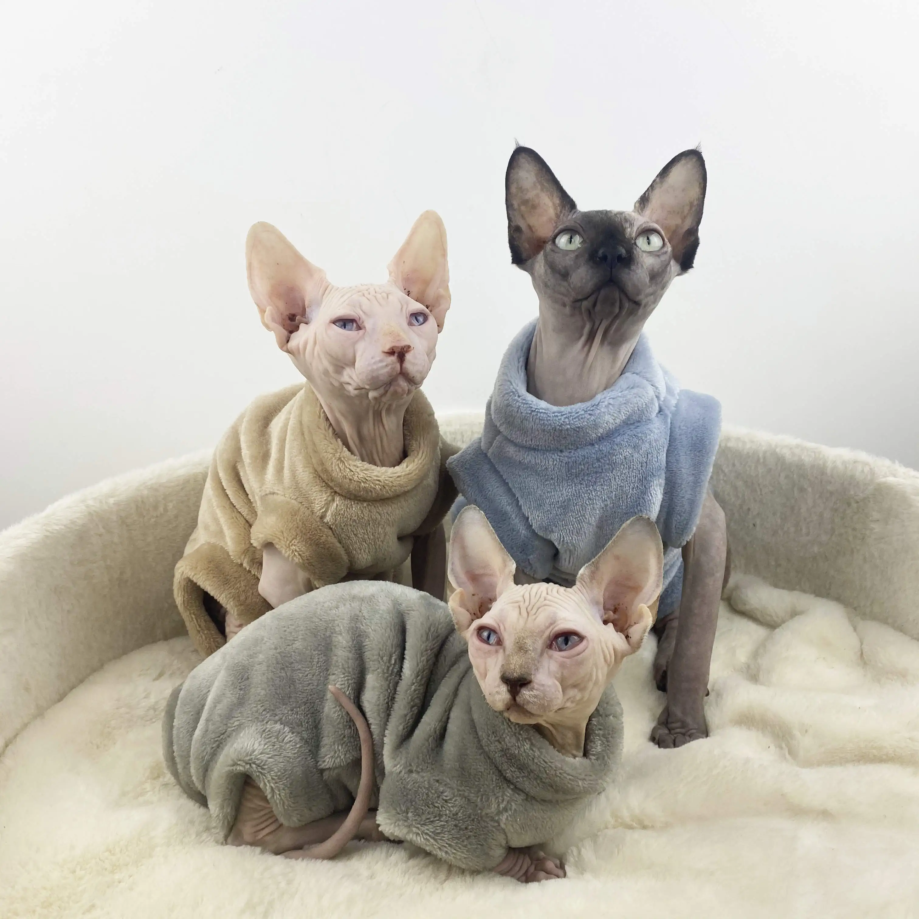 Sphynx Cat Clothes Hairless Cat Clothing Flannel Winter Warm Winter Devon Cat Clothing Kitten Clothes