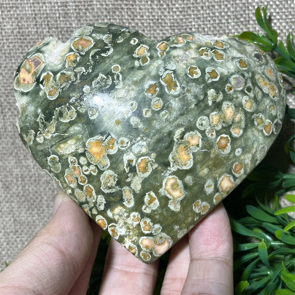 

Natural Rainforest Heart Jade Crystal Stone Quartz High Quality Healing Reiki Minerals Beauty Home Decoration Room