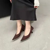 Bailamos 2024 Autumn Pointed Toe Women Sexy Shallow Slip On Pumps Shoes Fashion Thin High Heel Ladies Elegant Dress Shoes Mujer - Image 4