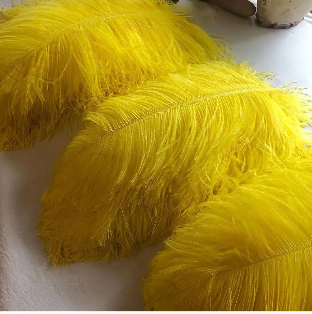 Ostrich Feathers Multicolor 15-40CM 10PCS/lot For Handicraft Party Decor