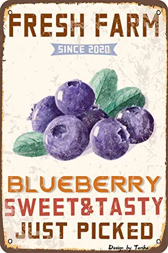 

Fresh Farm Since 2020 Blueberry Sweet & Tasty Just Picked Iron Poster Painting Tin Sign Vintage Wall Decor for Cafe Bar Pub