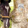 4 Pcs Horse Tie Ring Sturdy Cross Lead Ring Blocker Bolt Stable Supplies Training Competition Riding Halters Equine Accessories 4