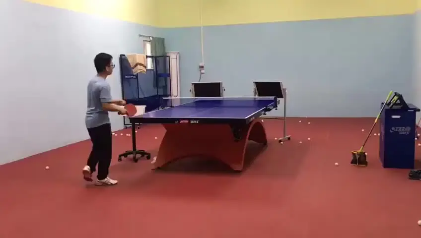 Planche De Rebond Ping-pong Réglable 360° - 8 Revêtements Caoutchouc, Bois 7 Plis - Entraînement Solo Maison