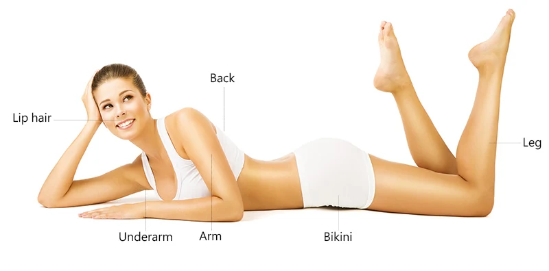 Sf79bfc6638ec40f196357dbfdcf65496r