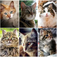 

DIY Cat 5D Diamond Painting Full Square Drill Animal Diamond Embroidery Art Rhinestone Mosaic Kits Gift Wall Art Home Decor