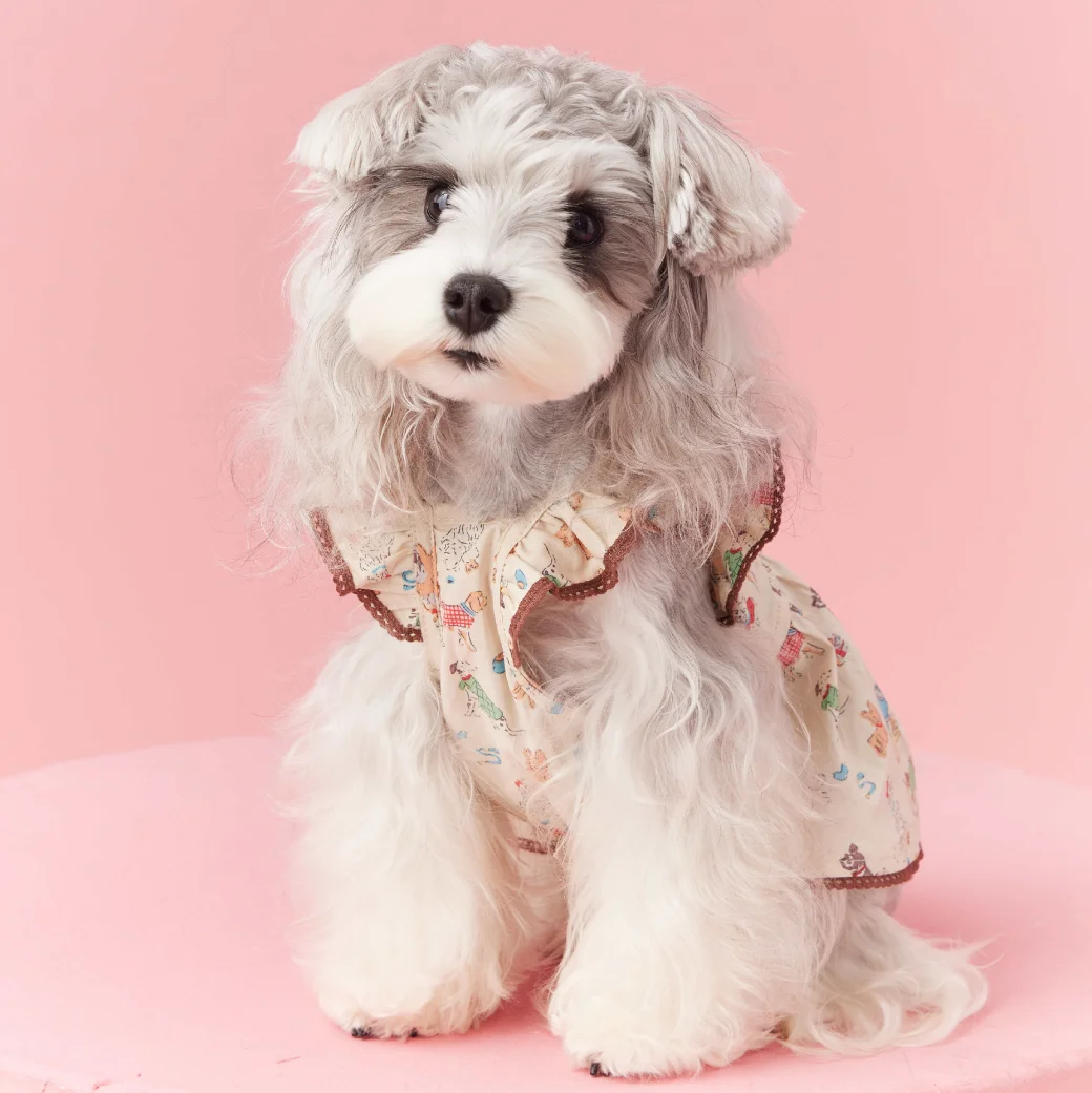 Thin Printed Pet Clothes for Small Dogs, Puppy Clothing, Home Pajamas, Maltese Teddy Schnauzer, Bichon Bear Shirt, Spring