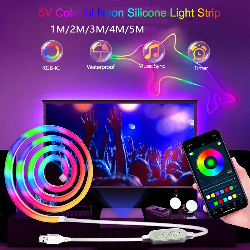 Ruban LED néon Bluetooth 5V USB en silicone avec synchronisation musicale RGBIC Dreamcolor pour chambre