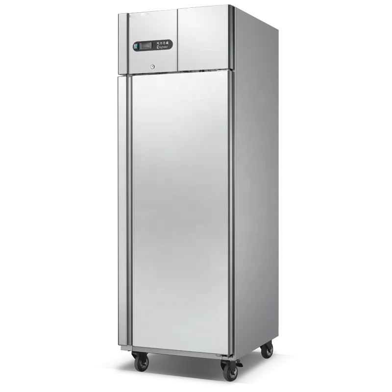 Refrigeration Equipment Fridge Refrigerator Top-freezer Side-by-side Refrigerators