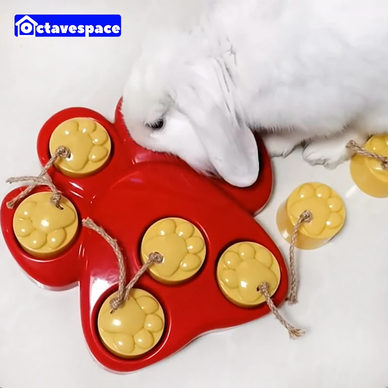 Interactive Toys Bunnies Educational Toys Rabbits Interactive Toys