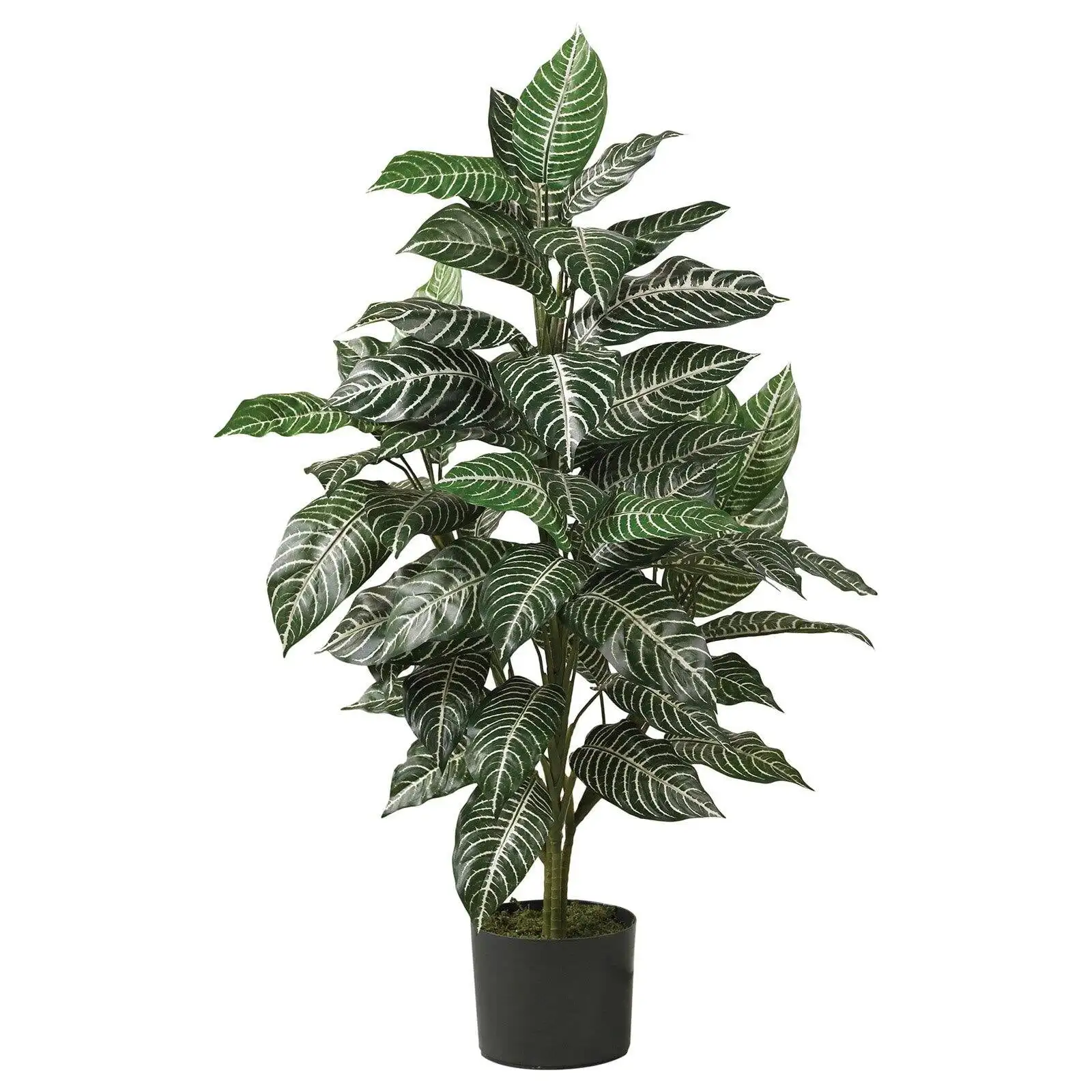 

Nearly Natural Zebra Silk Plant