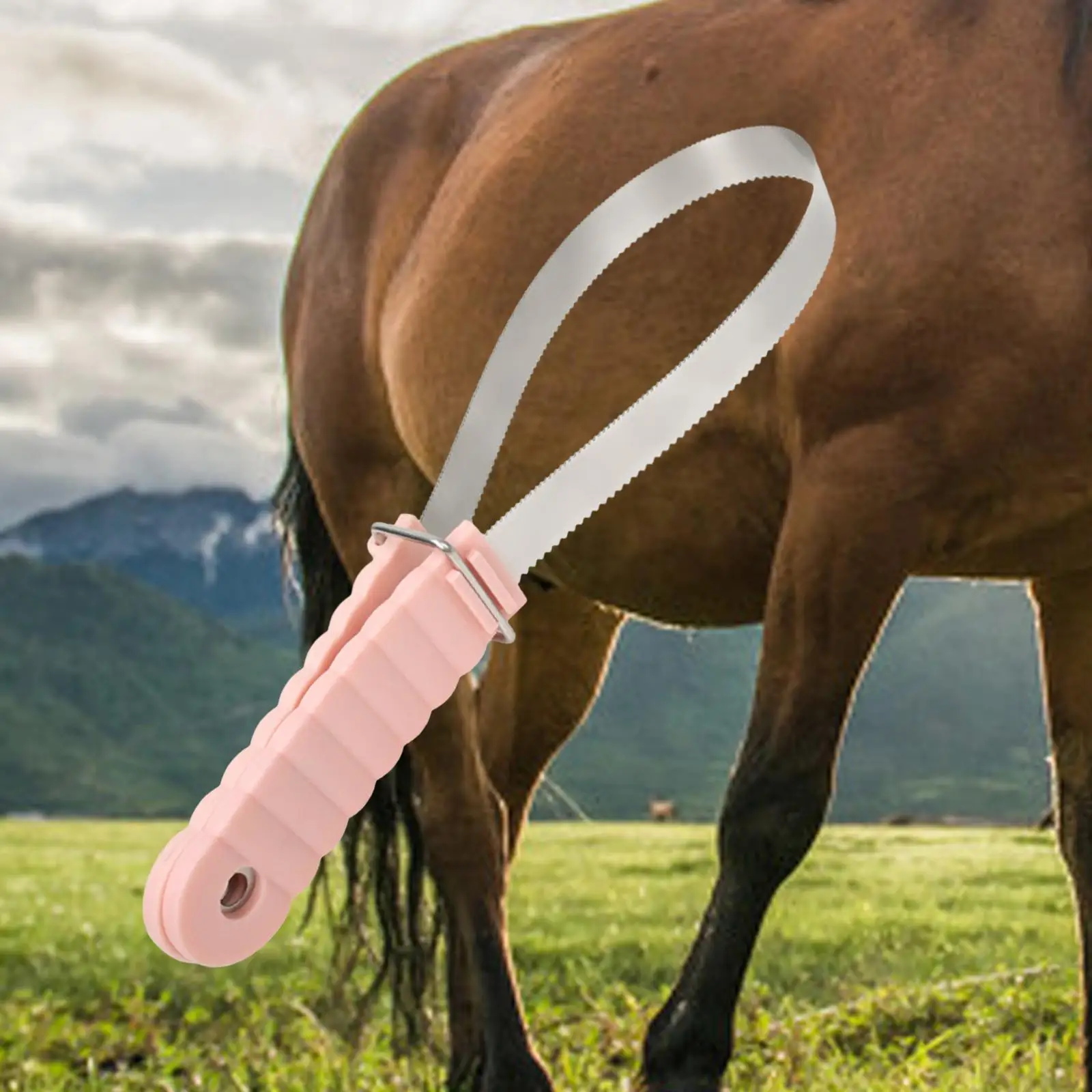 Horse Brush Scraper Cleaning De Shedding Tool for Livestock Dogs Animal