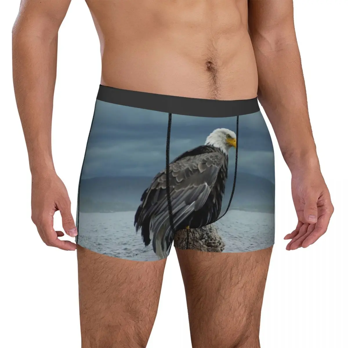 

Bald Eagle Underwear Predator Sea Eagles 3D Pouch Trenky Boxer Shorts Printed Boxer Brief Sexy Male Panties Big Size 2XL