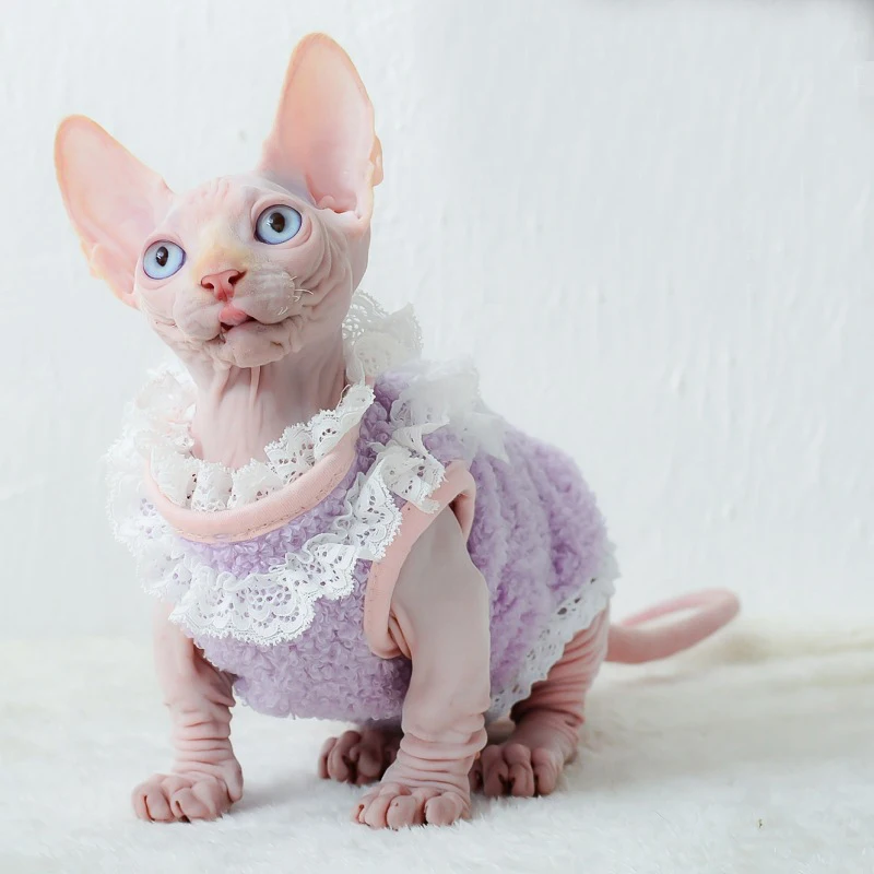 Sphinx Cat Clothes Winter Warm Kitten Cat Hoodies Cute Lace Hairless Sphynx Cat Dress Costumes Devon Cat ropa para gato