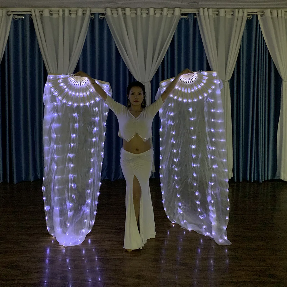 Ruoru Carnival 100% Silk Belly Dance LED Fan Veils Light LED Silk