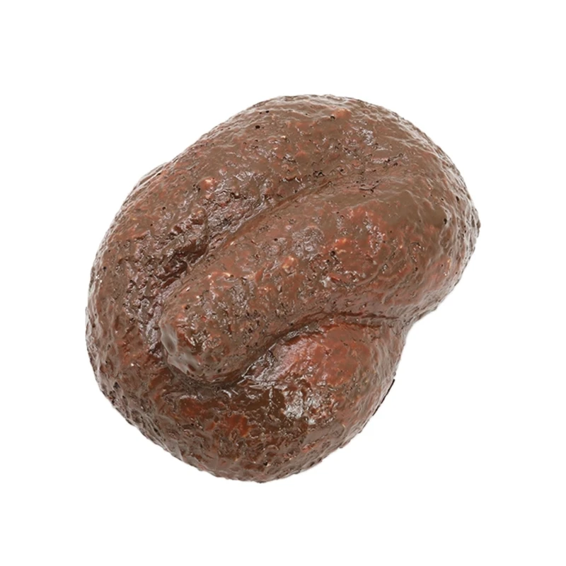 

Resin Key Holder Novelty Key Storage Box for Home and Office Use Realistic Stone Shape Key Holder Outdoor Key Keeper R7UB