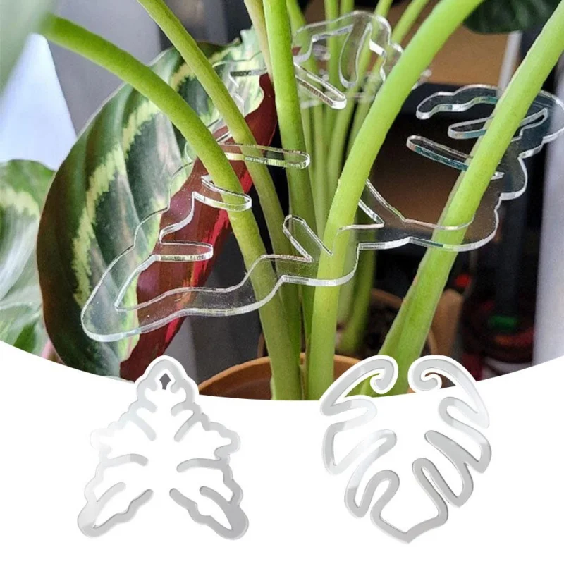 Turtle Shell Bamboo Clamp Set Monstera Grapple Plant Monstera Plant Support Keeps Plants Tame Growing Vertical