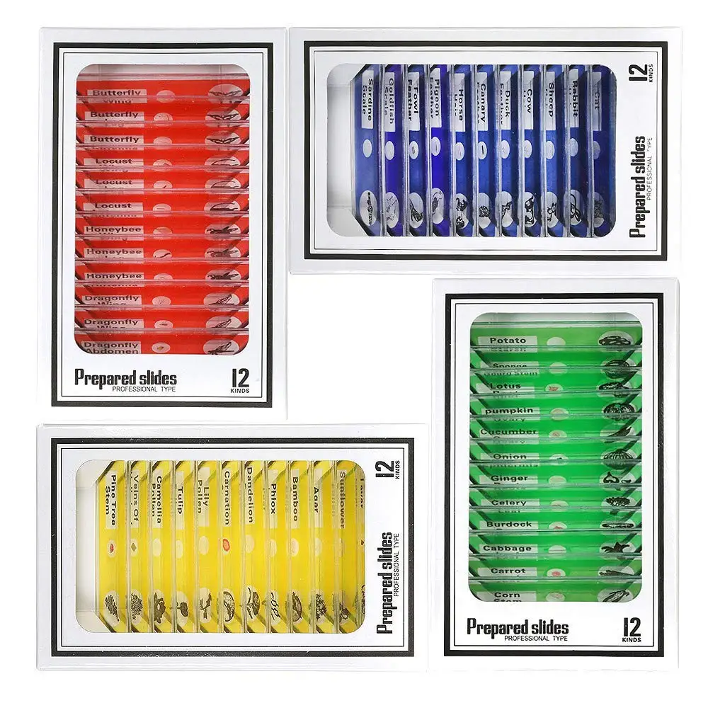 RIEVBCAU 48 Pcs Prepared Plastic Microscope Slides Set Specimen Biological For Children Student Enlighten Education