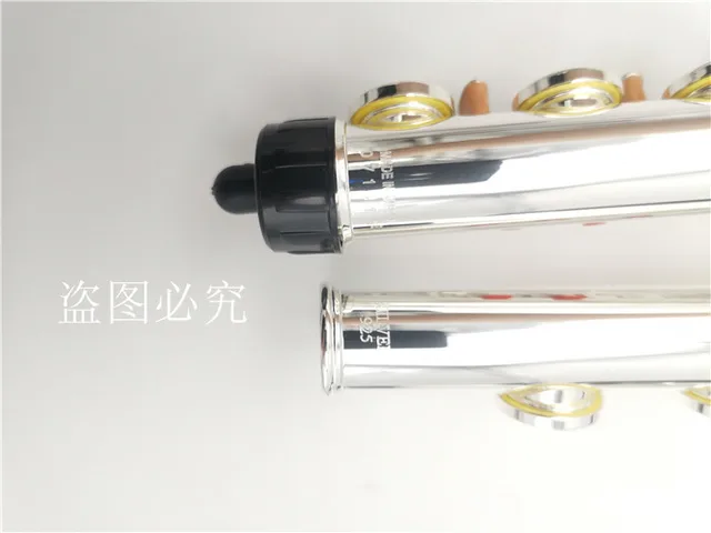 Image 5