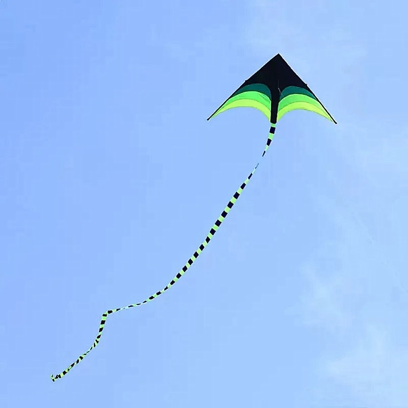 1,6 m Delta-Drachen, Winddrachen, Outdoor-Spielzeug für Kinder, Flugdrachen, Sport, Strand, professioneller Drachen, Oktopus-Drachen, Kevlar – Detail 7