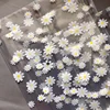 Daisy Flower Transparent Flamingo Travel Storage Bag Zipper Lock Waterproof Clothing Closet Underwear Sorting Bag 5