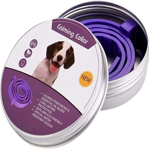 Dog 62cm Box-Purple