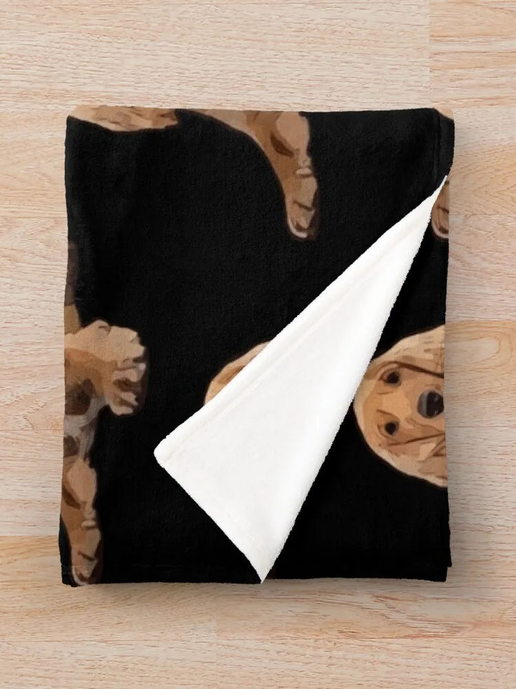 ��Ŀ ���дϾ� ���ο� ���, �ε巯�� �÷��� ���� ���� ���� ���, ���� ũ�������� ����