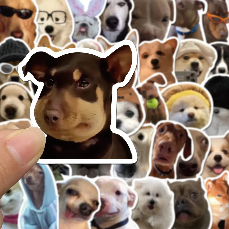 ♥夏の大特価Sale‼️イギリスお目目の可愛いドックカート②❤️ 中古・型落ちペットカートの格安通販 – Rentio Outlet