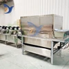 Onion Peeling Machine 500-600kg per hour Garlic Commercial Electric Large Automatic Chain Stainless Steel Pneumatic Processing 1