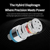 DUNU Titan X HiFi IEM Earphones Dual Magnetic Dynamic Driver Metal Alloy Housing 3.5mm/TypeC Mic Earbuds For Audiophile Gaming - Image 2