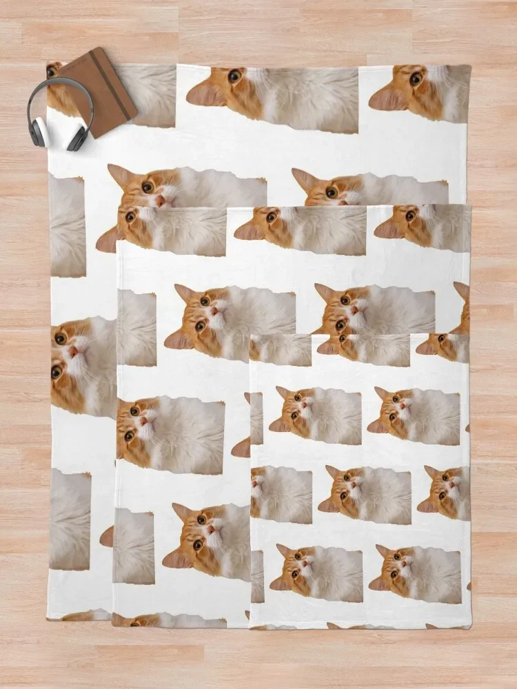 �� ���� ���� ������ ������ ���, ���� �̺�, ���� �� ���