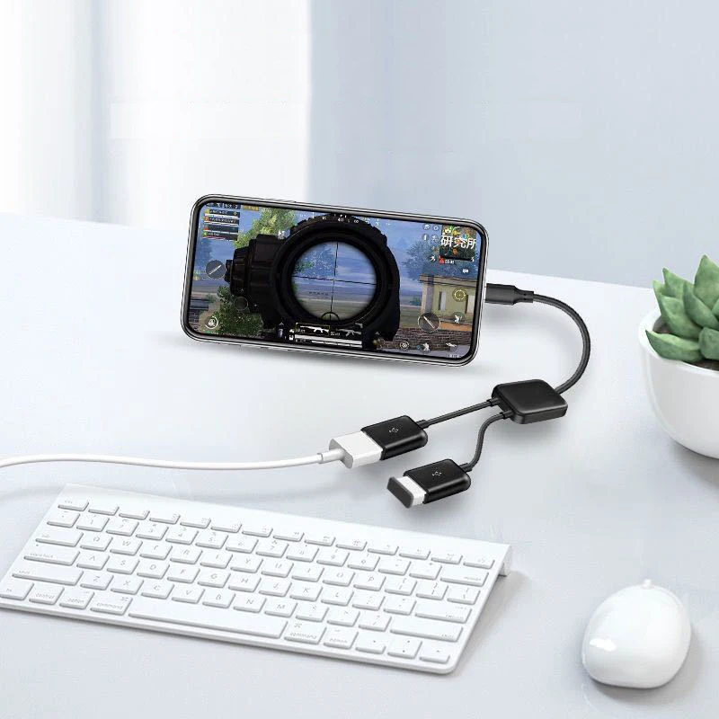 USB C to USB 2.0 Dual-Port OTG Adapter Cable